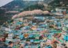 Có ngôi làng Gamcheon đầy sắc màu tại Busan co-ngoi-lang-gamcheon-day-sac-mau-tai-busan