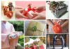 Văn hóa tặng quà của người Hàn Quốc van-hoa-tang-qua-cua-nguoi-han-quoc
