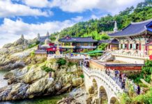 Bốn mùa của Hàn Quốc đều sẽ khiến bạn yêu thích