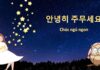 Lời chúc ngủ ngon bằng tiếng Hàn cực chất