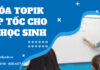 Khóa TOPIK Online cấp tốc cho du học sinh