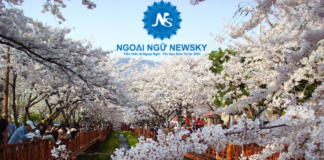 Những địa điểm ngắm hoa anh đào đẹp nhất Hàn Quốc