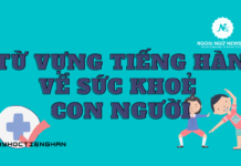 Từ vựng tiếng Hàn về sức khoẻ con người