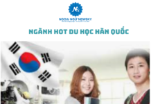 Những ngành hot khi du học Hàn Quốc