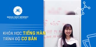 Khóa học tiếng Hàn trình độ cơ bản Khóa học tiếng Hàn trình độ cơ bản