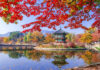 Nami Island – Hòn đảo đáng sống ở Hàn Quốc