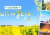 Khám phá lễ hội lửa Đảo JEJU