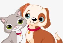 Học tiến Hàn qua câu chuyện 개와 고양이 – Chó và Mèo